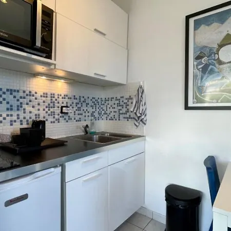 Ideal Vacation In Juan-les-pins, With A Pool And 5 Minutes From The アンティーブ